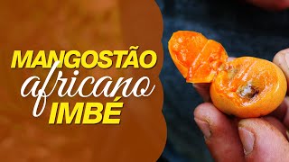 Miniatura do vídeo