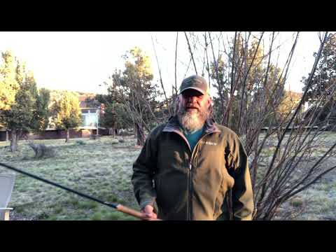 Snap T Skagit Cast, Spey Cast secrets