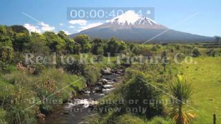 Taranaki Dairy Sample