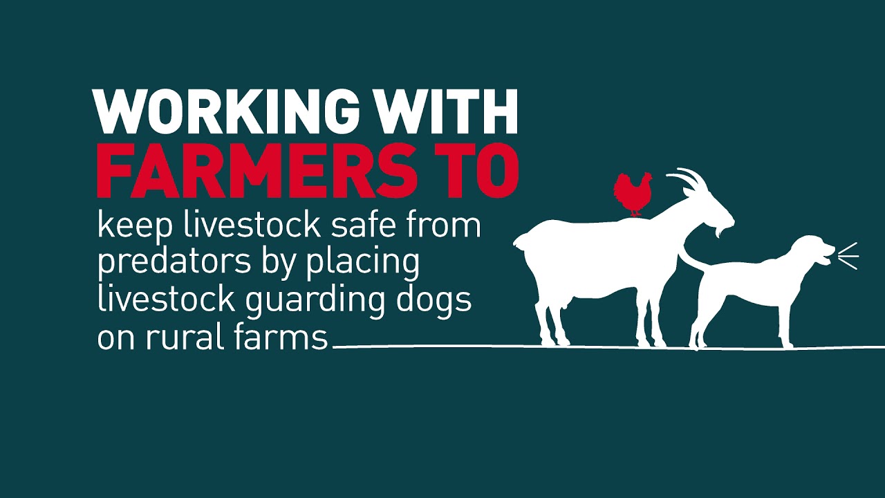 EWT introductory video