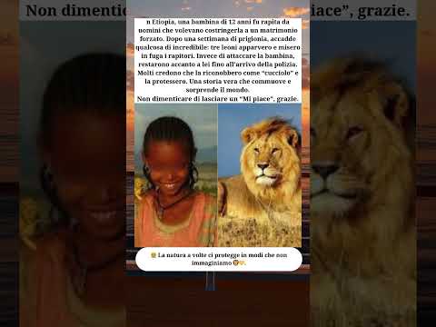 🦁 Il leone che salvò una bambina rapita 👧💙