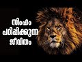 LION MENTALITY MALAYALAM MOTIVATION Ourpast