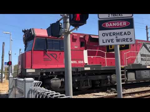 MRL006 & NR24 on 5p23