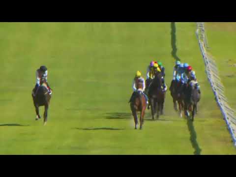 2023.02.25 Cape Derby (RSA) - See it Again