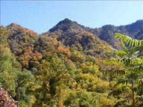 Enya...Who can say where the road goes