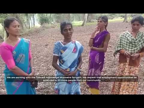 TAMS: From Lantana to Value