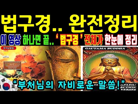 법구경.. 완전정리 이 영상 하나면 끝, 법구경 전체가 한눈에 정리됩니다ㅣ부처님말씀ㅣ자면서듣는 부처님말씀 | 오디오북