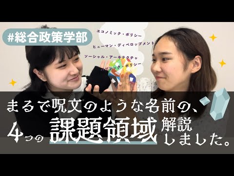 総合政策学科 【徹底解説】総政のまるで呪文のような名前の４つの課題領域を解説しました。