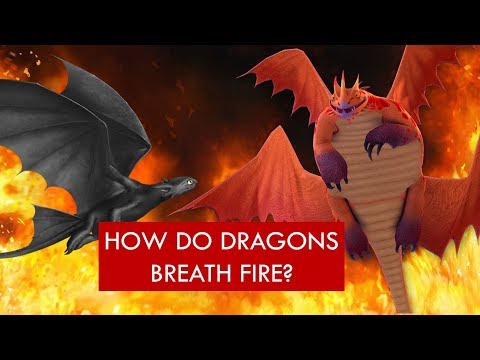 How dragons breathe fire - The Singetail [Dragon Biology THEORY]