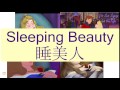 SLEEPING BEAUTY In Cantonese 睡美人 Flashcard