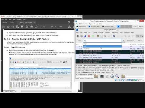 4.6.2.7 Lab - Using Wireshark to Examine a UDP DNS Capture