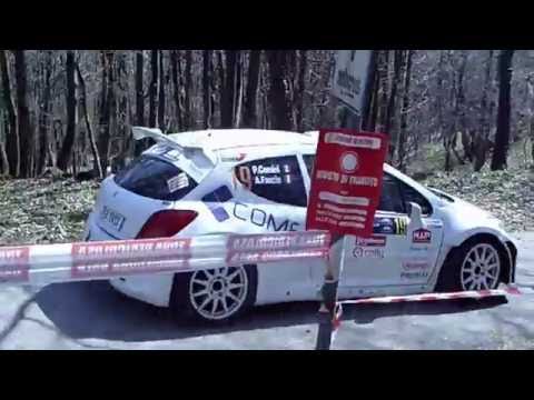 38° rally 1000 miglia