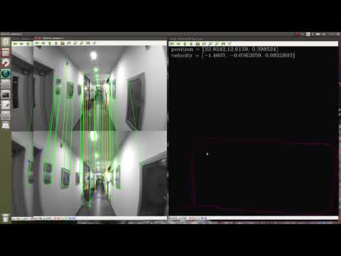 image-What is the output of okvis?