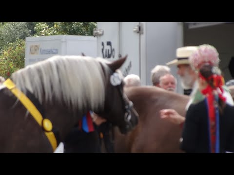 Rossfest 2022 in Sankt Märgen - Sonntag den 11.09.2022 -  Ansprache und Pferdesegnung aller Pferde