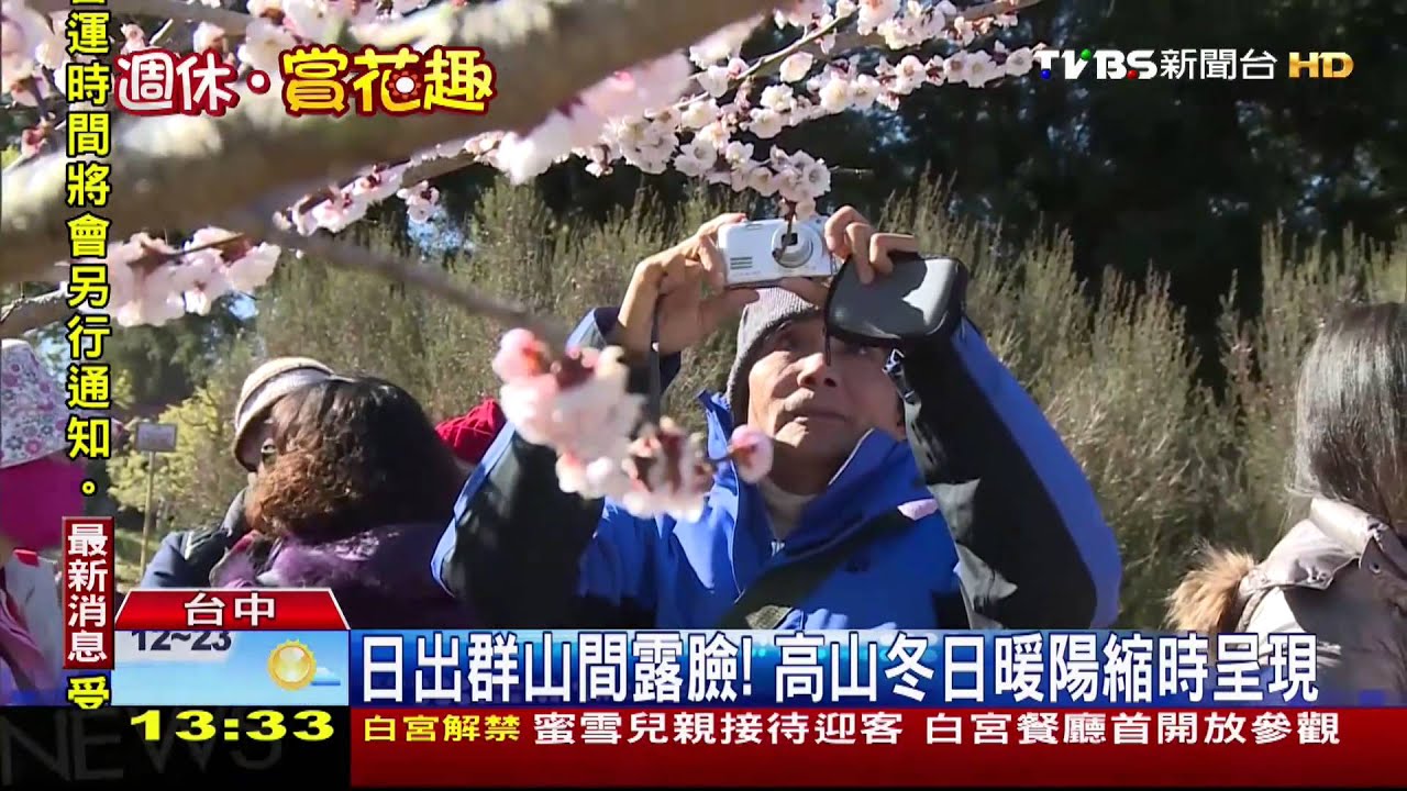 武陵賞櫻不只看花! 上「天池」看高山日出