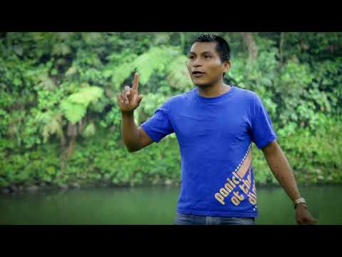 celso sandu dona segunda video  2019