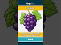 grape - a small, round, juicy fruit... video thumbnail