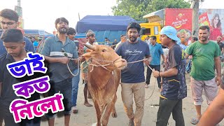 ভাই কত নিলো। বিক্রি হওয়া গরুর দাম। ২০২৫ কোরবানি গরু। রাজশাহী সিটি হাট