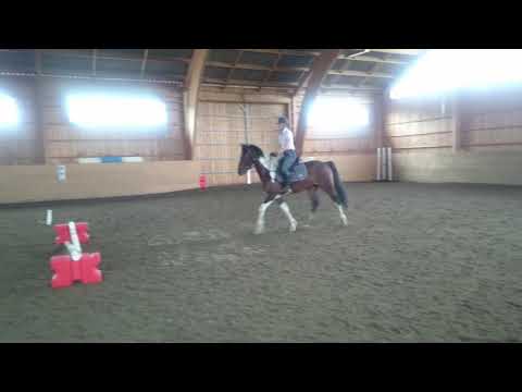 Långben bomarbete 1:a gången