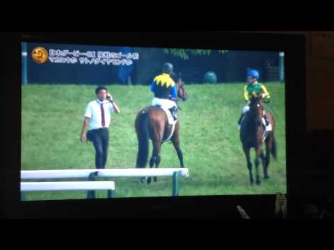 Tokyo Race 10R Derby G-1