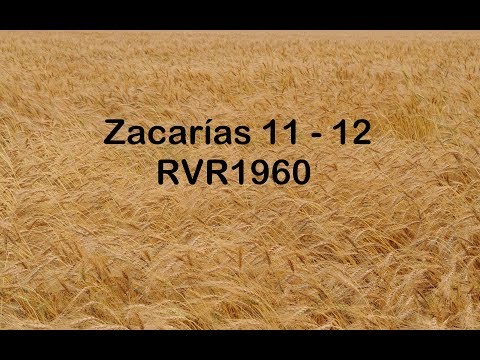 The Bible in a Year/Zechariah 11-12 (Audio, Lyrics) Day 362