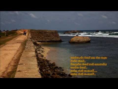 Hewanella wage - හෙවනැල්ල වගේ