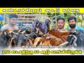 ஆடி மாத ஆட்டு சந்தை விலை நிலவரம் Aattu Santhai