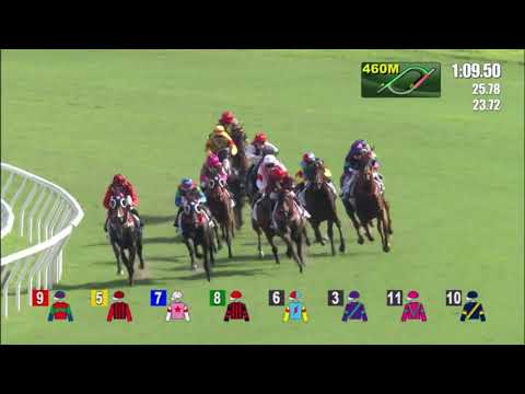 16/7/2022 (833) Turin Redsun - Z Purton ( Purton clinched the champion!)