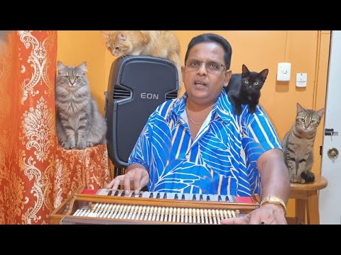 Devanand Gattoo - D Cyat Tief D Sarhee [Official Music Video] (2026 Chutney Soca)