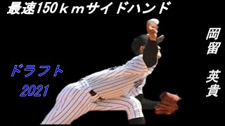 動画を再生