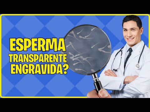 DOES THIN, THIN AND TRANSPARENT SPERM GET YOU PREGNANT?