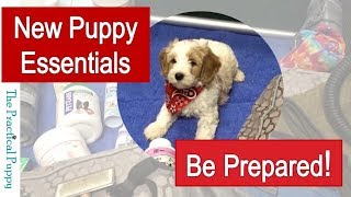 Preparing for Your New Puppy — Essentials and Other Recommended Products