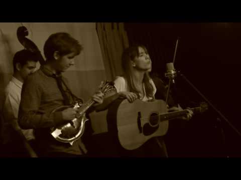 Cardboard Fox - The Fox