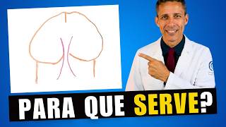 O que é o freio do pênis? Entenda de uma vez!