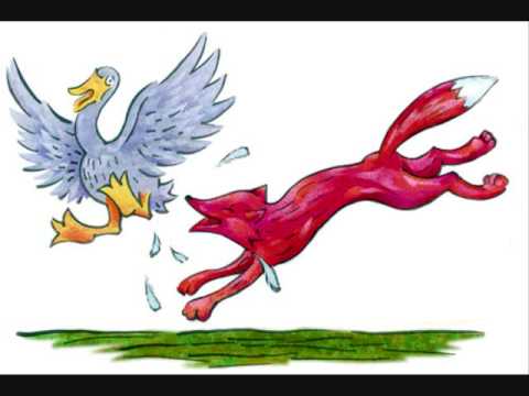 Vulpe tu mi ai furat gasca, da-mi-o inapoi