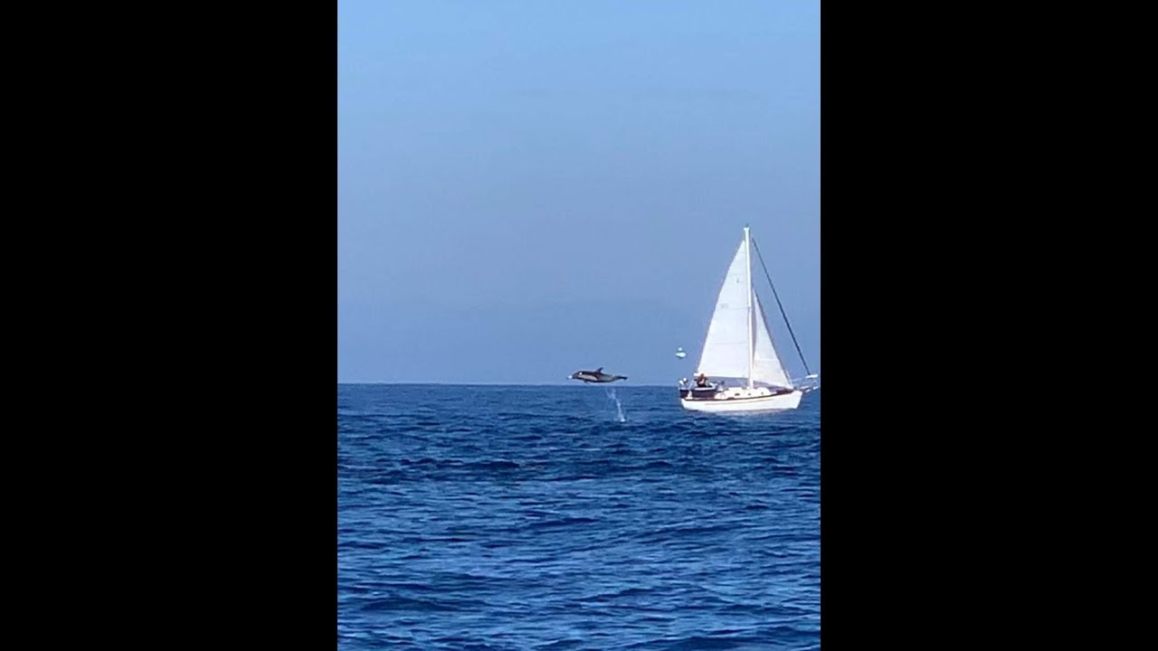 Sailing to Avalon, Catalina Island - Dana 24 - October 2018
