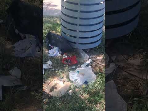 22 ENERO 2026'PLAZAS OLVIDADAS POR EL MUNICIPIO DE ROSARIO SANTA FE ARGENTINA"ABANDONO DEL ESTADO"😡