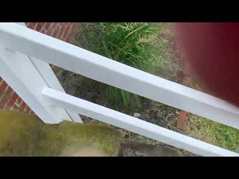 Hole in the Brick & Mortar Leads to a Ant Infestation in Gladstone, NJ