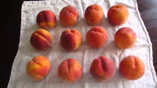 The Best Way to Ripen Peaches