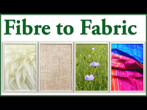 Fibres to Fabrics - Introduction - Fibres to fabrics (class 6) - Fibre to Fabric (6th Grade Science)