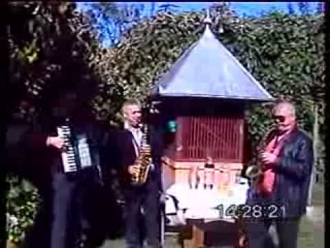 Fratii Cata & Oliviu Mihut   Nunta Lesnic 05 10 2013 Manej