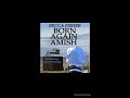 Clip From Born Again Amish By Becca Fisher Narrated By Justin R Berkey