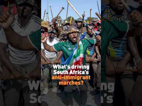 What's driving South Africa’s anti-immigrant marches?