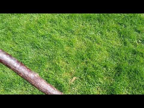 Blackthorn cudgel custom order #5