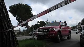 alberi-a-rischio-caduta-scattano-le-verifiche