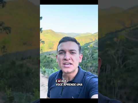 A Capital Nacional da Ponkan 🍊🚛 #curitiba #transporte #cerroazul #paraná #agronegocio