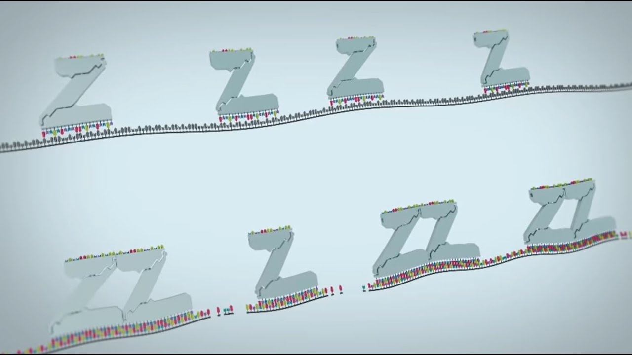 ACD RNAscope® in situ Hybridization (ISH) Technology Overview