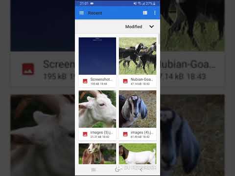 गाय भैंस  :  खरीदे बेचें
