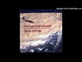 Richard Shindell - Blue Divide