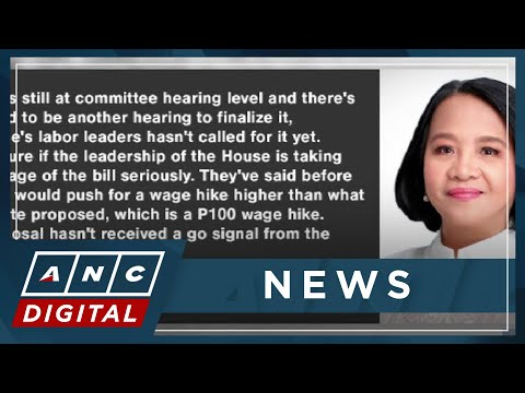 Rep. Castro: P150 wage hike bill not a priority in Lower House ANC